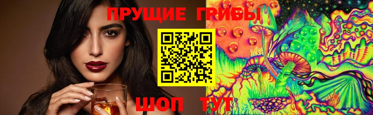 Псилоцибиновые грибы Psilocybine cubensis Омск