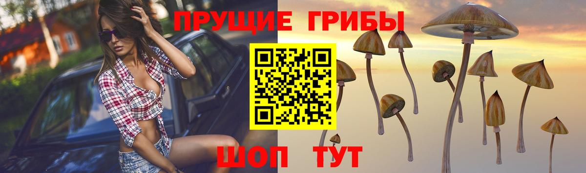 Галлюциногенные грибы прущие грибы  Псилоцибиновые грибы Magic Shrooms  Вход с VPN  Омск 